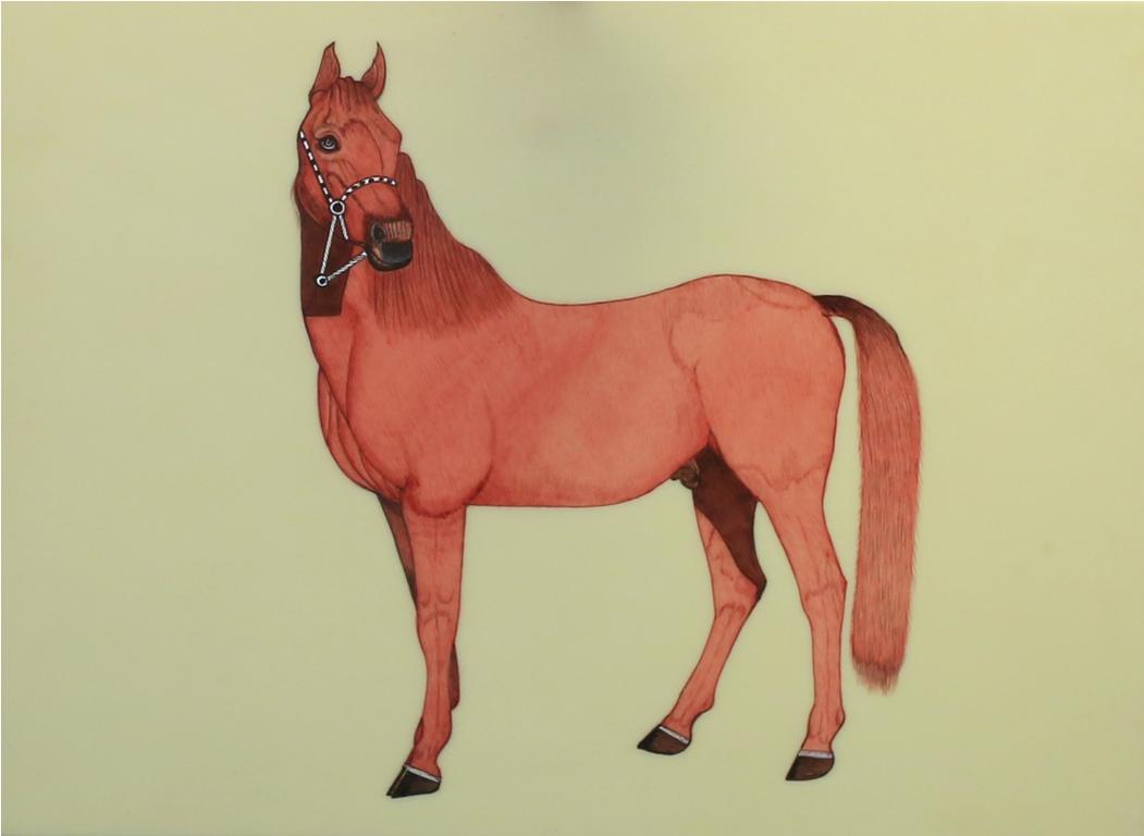 Horse